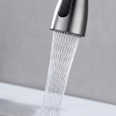 The Everything Faucet