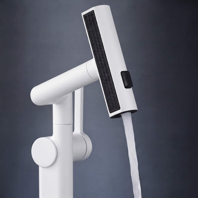 The Gold Versa Faucet